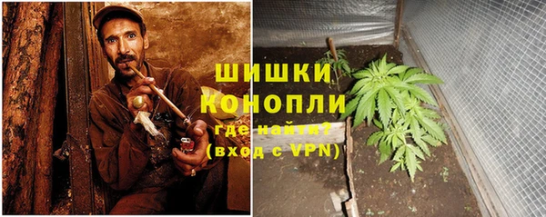 дурь Богданович