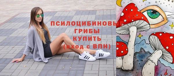 альфа пвп Богородицк