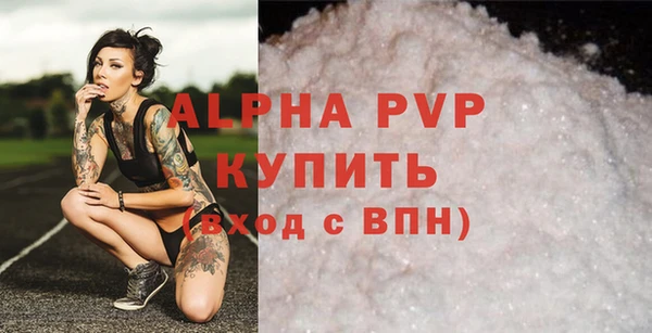бошки Белокуриха