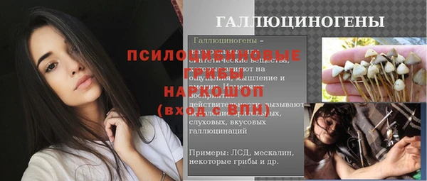 дурь Богданович