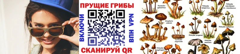 Псилоцибиновые грибы прущие грибы  Белоусово 